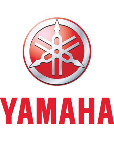 YAMAHA RECAMBIO 25 B-25 V