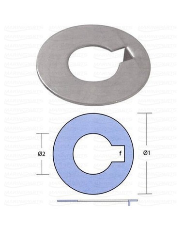 ARANDELA INOX RADICE