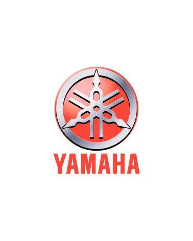 RECAMBIO YAMAHA CAJA 6F